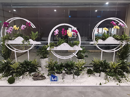 办公室绿植租摆